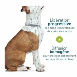 STARLIGHT SL.GT Collier Anti-Puces Et Anti-Tiques Pour Petits Chiens - Moins De 8KG -Anti-puces, anti-parasitaires et soins pour chien Soldes 57238653 4