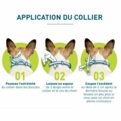 GUAZHUNIFR GU.B/bon Collier Anti-Puces Et Anti-Tiques Pour Petits Chiens - Moins De 8KG -Anti-puces, anti-parasitaires et soins pour chien Soldes 57500384 5