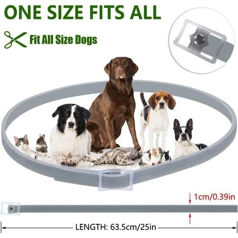 REGALOS DEWEL Collier Anti-puces Et Anti-tiques Pour Chiens Et Chats - 63 Cm - Réglable Et étanche 5 REGALOS DEWEL Collier Anti-puces Et Anti-tiques Pour Chiens Et Chats - 63 Cm - Réglable Et étanche – Image 5