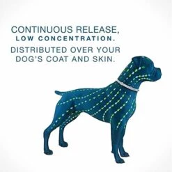 BENOBBY KIDS Colliers Anti-puces Et Anti-tiques Pour Chiens, Colliers Anti-puces Pour Chiens, Valables Jusqu'à 8 Mois, Adaptés à Toutes Les Races De Chiens De Petite, Moyenne à Grande Taille, Collier Anti-puces étanche, Collier De Protection Durable Réglable. Collier -Anti-puces, anti-parasitaires et soins pour chien Soldes 58330857 3