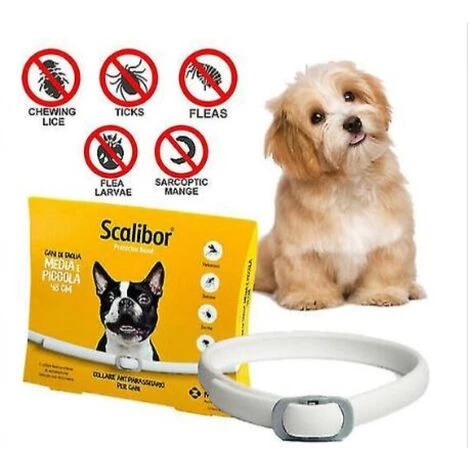 Thsinde Collare Antiparassitario Per Cani Di Taglia Piccola 48cm Antipulci 2 Thsinde Collare Antiparassitario Per Cani Di Taglia Piccola 48cm Antipulci – Image 2