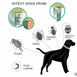 Thsinde Collare Antiparassitario Per Cani Di Taglia Piccola 48cm Antipulci 7 Thsinde Collare Antiparassitario Per Cani Di Taglia Piccola 48cm Antipulci -Anti-puces, anti-parasitaires et soins pour chien Soldes 58376092 3