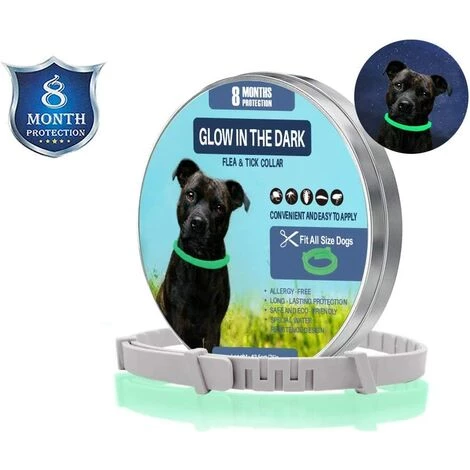 GDRHVFD Collier Anti-Puces Et Anti-Tiques Pour Chien Et Chat,Traitement Anti Tique Et Puce, Étanche Pour,Taille Réglable, Protection 8 Mois,1 Paquet(Grand) - Gris 62Cm 1 GDRHVFD Collier Anti-Puces Et Anti-Tiques Pour Chien Et Chat,Traitement Anti Tique Et Puce, Étanche Pour,Taille Réglable, Protection 8 Mois,1 Paquet(Grand) - Gris 62Cm