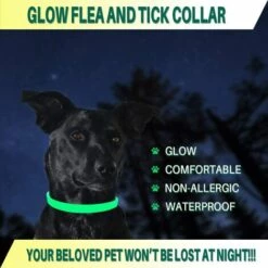 GDRHVFD Collier Anti-Puces Et Anti-Tiques Pour Chien Et Chat,Traitement Anti Tique Et Puce, Étanche Pour,Taille Réglable, Protection 8 Mois,1 Paquet(Grand) - Gris 62Cm 7 GDRHVFD Collier Anti-Puces Et Anti-Tiques Pour Chien Et Chat,Traitement Anti Tique Et Puce, Étanche Pour,Taille Réglable, Protection 8 Mois,1 Paquet(Grand) - Gris 62Cm -Anti-puces, anti-parasitaires et soins pour chien Soldes 58696771 3