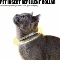 GDRHVFD Collier Anti-Insectes Pour Animaux De Compagnie, Les Chats Et Les Chiens Peuvent Être Ajustés. Collier Anti-Moustiques Anti-Puces, Collier Anti-Poux Et Anti-Tiques, Pour Petit, Moyen, Grand Chiot - Violet - Type De Chien 7 GDRHVFD Collier Anti-Insectes Pour Animaux De Compagnie, Les Chats Et Les Chiens Peuvent Être Ajustés. Collier Anti-Moustiques Anti-Puces, Collier Anti-Poux Et Anti-Tiques, Pour Petit, Moyen, Grand Chiot - Violet - Type De Chien -Anti-puces, anti-parasitaires et soins pour chien Soldes 58696793 3