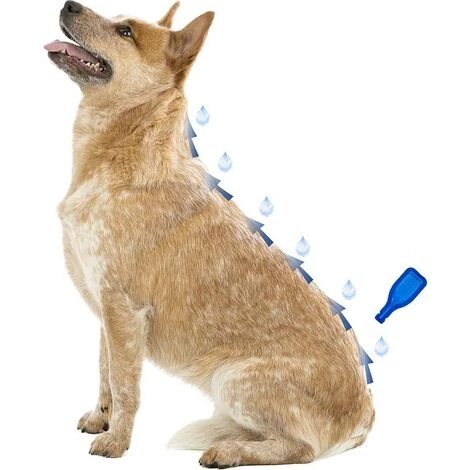 BEAPHAR DIMÉTHICARE ? Pipettes Stop Parasites Pour Petit Chien - 2 BEAPHAR DIMÉTHICARE ? Pipettes Stop Parasites Pour Petit Chien - – Image 2