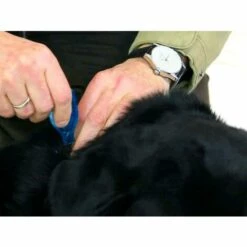 BEAPHAR DIMÉTHICARE ? Pipettes Stop Parasites Pour Petit Chien - 5 BEAPHAR DIMÉTHICARE ? Pipettes Stop Parasites Pour Petit Chien - -Anti-puces, anti-parasitaires et soins pour chien Soldes 59309627 3