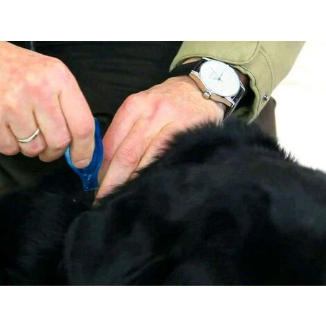 BEAPHAR DIMÉTHICARE ? Pipettes Stop Parasites Pour Petit Chien - 3 BEAPHAR DIMÉTHICARE ? Pipettes Stop Parasites Pour Petit Chien - – Image 3