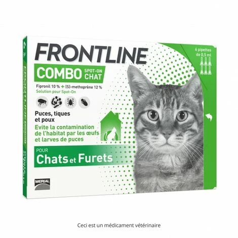Frontline Combo Chat 1 Frontline Combo Chat