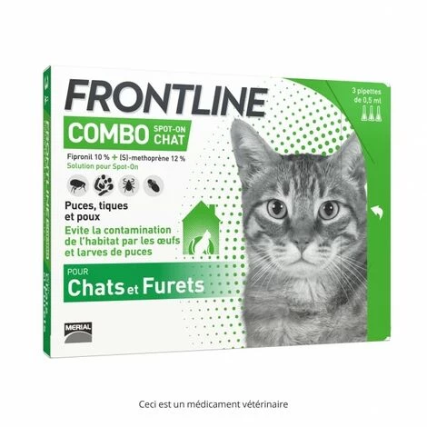 Frontline Combo Chat 2 Frontline Combo Chat – Image 2