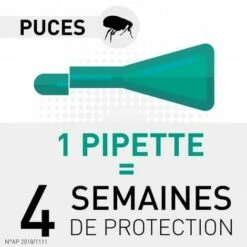 Frontline Combo Chat 9 Frontline Combo Chat -Anti-puces, anti-parasitaires et soins pour chien Soldes 59310203 5