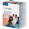 VIRBAC - HYALORAL Comprimes Pour Chien