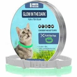 GALOZZOIT Collier Anti-puces Et Anti-tiques Pour Chiens Et Chats,Brillant Dans L'obscurité, Taille Imperméable Et Réglable, Protection De 8 Mois, 2 Paquet(Petit)