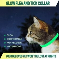 GALOZZOIT Collier Anti-puces Et Anti-tiques Pour Chiens Et Chats,Brillant Dans L'obscurité, Taille Imperméable Et Réglable, Protection De 8 Mois, 2 Paquet(Petit) -Anti-puces, anti-parasitaires et soins pour chien Soldes 59854030 3