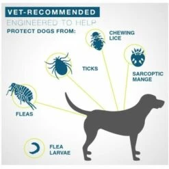 PREMIER Collier Anti-tiques Et Puces 38CM-chat -Anti-puces, anti-parasitaires et soins pour chien Soldes 60531441 4