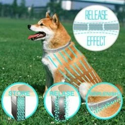 Collier Anti-puces Et Anti-tiques Pour Animaux De Compagnie, Jusqu'à 8 Mois, Collier Anti-moustiques FUIENKO -Anti-puces, anti-parasitaires et soins pour chien Soldes 60571024 3