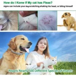 Collier Anti Puces Pour Chiens Et Collier, De 8 Mois De Prévention R&eacute FUIENKO -Anti-puces, anti-parasitaires et soins pour chien Soldes 60571370 3