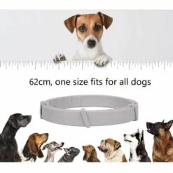 Collier Anti Puces Pour Chiens Et Collier, De 8 Mois De Prévention R&eacute FUIENKO -Anti-puces, anti-parasitaires et soins pour chien Soldes 60571370 4