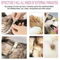 Collier Anti-puces De Chien,Expulsif De Parasite De Dépulisation Externe,10pcs FUIENKO -Anti-puces, anti-parasitaires et soins pour chien Soldes 60571376 4