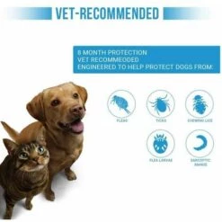 Collier De Vermifuges Rétractable Pour Chien Et Chat, 8 Mois, Anti-puces Et Tiques, Prévention Des Mousti Cat,S With Box FUIENKO -Anti-puces, anti-parasitaires et soins pour chien Soldes 60571945 3