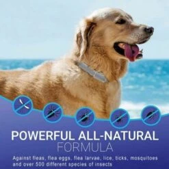 Collier Anti-puces Et Anti-tiques Pour Chiens Et Chats, Huile Essentielle, Répulsif De Moustiques FUIENKO -Anti-puces, anti-parasitaires et soins pour chien Soldes 60572329 3