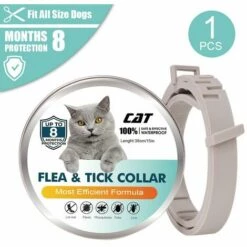 LIFCAUSAL Collier Anti-puces Pour Chats Prévention Des Puces Et Des Tiques De 8 Mois Pour Chats âgés De 3 Mois Et Plus 7 LIFCAUSAL Collier Anti-puces Pour Chats Prévention Des Puces Et Des Tiques De 8 Mois Pour Chats âgés De 3 Mois Et Plus -Anti-puces, anti-parasitaires et soins pour chien Soldes 60604292 3