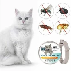 LIFCAUSAL Collier Anti-puces Pour Chats Prévention Des Puces Et Des Tiques De 8 Mois Pour Chats âgés De 3 Mois Et Plus 8 LIFCAUSAL Collier Anti-puces Pour Chats Prévention Des Puces Et Des Tiques De 8 Mois Pour Chats âgés De 3 Mois Et Plus -Anti-puces, anti-parasitaires et soins pour chien Soldes 60604292 4