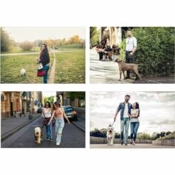 HEGUYEY Chien Enrouleur 5m, Corde De Traction Télescopique Avec Poignée Antidérapante En Caoutchouc Souple, Pour Chiens De Petite Et Moyenne Taille, Jusqu'à 40 Kg 8 HEGUYEY Chien Enrouleur 5m, Corde De Traction Télescopique Avec Poignée Antidérapante En Caoutchouc Souple, Pour Chiens De Petite Et Moyenne Taille, Jusqu'à 40 Kg -Anti-puces, anti-parasitaires et soins pour chien Soldes 61271964 4