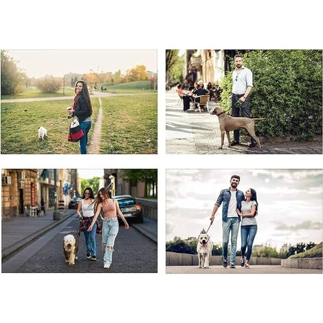 HEGUYEY Chien Enrouleur 5m, Corde De Traction Télescopique Avec Poignée Antidérapante En Caoutchouc Souple, Pour Chiens De Petite Et Moyenne Taille, Jusqu'à 40 Kg 4 HEGUYEY Chien Enrouleur 5m, Corde De Traction Télescopique Avec Poignée Antidérapante En Caoutchouc Souple, Pour Chiens De Petite Et Moyenne Taille, Jusqu'à 40 Kg – Image 4