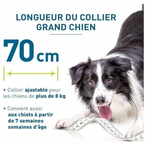 SLBRILLèRE Chien – Collier Anti-Puces Et Anti-Tiques Pour Grands Chiens - 8KG Et Plus 2 SLBRILLèRE Chien – Collier Anti-Puces Et Anti-Tiques Pour Grands Chiens - 8KG Et Plus – Image 2