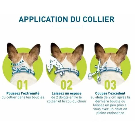 SLBRILLèRE Chien – Collier Anti-Puces Et Anti-Tiques Pour Grands Chiens - 8KG Et Plus 4 SLBRILLèRE Chien – Collier Anti-Puces Et Anti-Tiques Pour Grands Chiens - 8KG Et Plus – Image 4