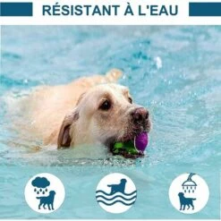 CHANCEY Collier Anti-Puces Pour Chiens – Collier Antipuces Et Anti-tiques - 8 Mois De Protection, Résistant à L’Eau Et Réglable - 62cm -Anti-puces, anti-parasitaires et soins pour chien Soldes 63641527 3
