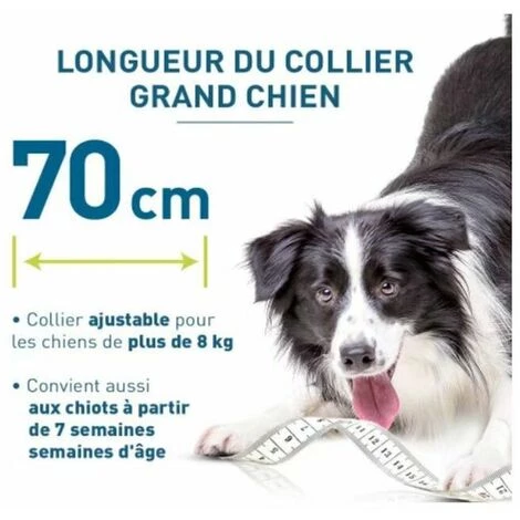 MINKUROW GU.B/bon Chien – Collier Anti-Puces Et Anti-Tiques Pour Grands Chiens - 8KG Et Plus 2 MINKUROW GU.B/bon Chien – Collier Anti-Puces Et Anti-Tiques Pour Grands Chiens - 8KG Et Plus – Image 2