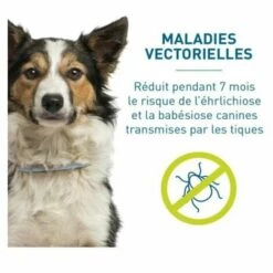 MINKUROW GU.B/bon Chien – Collier Anti-Puces Et Anti-Tiques Pour Grands Chiens - 8KG Et Plus 7 MINKUROW GU.B/bon Chien – Collier Anti-Puces Et Anti-Tiques Pour Grands Chiens - 8KG Et Plus -Anti-puces, anti-parasitaires et soins pour chien Soldes 63693214 3