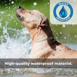 PREMIER Collier Réglable Anti-puces Et Tiques Pour Chiens - Imperméable - Protection Efficacité 8 Mois - Huile Essentielle Naturelle -Anti-puces, anti-parasitaires et soins pour chien Soldes 63700129 5