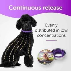 PERLE RARE Traitement Antipuces Pour Chiens, Collier Antiparasitaire Pour Chien, Collier Antipuces Réglable Pour Chien, 8 Mois De Protection Contre Les Tiques Pour Chiots, Collier Anti Poux Et Antitiques -Anti-puces, anti-parasitaires et soins pour chien Soldes 63731747 5