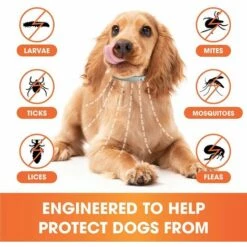 PERLE RARE Collier Anti-puces Et Anti-tiques Pour Chien 27 Pouces, Collier Anti-puces Pour Chien D'une Durée De 12 Mois Avec Huiles Essentielles Et Herbes, Collier Anti-puces Extensible Pour Chiens -Anti-puces, anti-parasitaires et soins pour chien Soldes 63731970 3