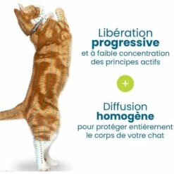 PERLE RARE 2pcs Collier Anti-Puces Et Anti-Tiques Pour Chats -Anti-puces, anti-parasitaires et soins pour chien Soldes 63731994 3