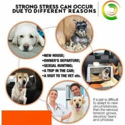 PERLE RARE Collier Antiparasitaire Pour Chiens, Collier Anti-puces Et Anti-tiques Ajustable Et Imperméable, 30 Jours Protection En Sécurité Ingrédients Control (1 Pack) -Anti-puces, anti-parasitaires et soins pour chien Soldes 63732071 3