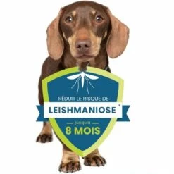 PERLE RARE Collier Anti-Puces Et Anti-Tiques Pour Grands Chiens,70cm - 8KG Et Plus -Anti-puces, anti-parasitaires et soins pour chien Soldes 63732143 5