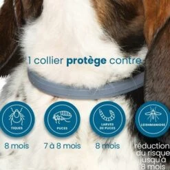 PERLE RARE Collier Anti-puces Et Anti-tiques Pour Petits Chiens, 38cm - Moins De 8KG -Anti-puces, anti-parasitaires et soins pour chien Soldes 63732176 3