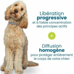 PERLE RARE Collier Anti-puces Et Anti-tiques Pour Petits Chiens, 38cm - Moins De 8KG -Anti-puces, anti-parasitaires et soins pour chien Soldes 63732176 4