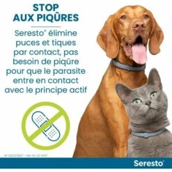 PERLE RARE Chiens - Colliers Anti-puces Et Anti-tiques Pour Grands Chiens - 8 Kg Et Plus -Anti-puces, anti-parasitaires et soins pour chien Soldes 63826604 5