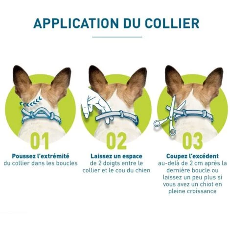 ARC-EN-CIéL Chien – Collier Anti-Puces Et Anti-Tiques Pour Petits Chiens - Moins De 8KG, Arcenciél 3 ARC-EN-CIéL Chien – Collier Anti-Puces Et Anti-Tiques Pour Petits Chiens - Moins De 8KG, Arcenciél – Image 3