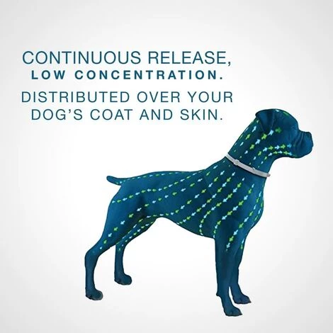 OUSUDELA Lot De 2 Colliers Anti-puces Et Anti-aboiement Pour Chien Seresto, Collier Anti-puces Et Anti-aboiement De 8 Mois Pour Grands Chiens De Plus De 8 Kg 3 OUSUDELA Lot De 2 Colliers Anti-puces Et Anti-aboiement Pour Chien Seresto, Collier Anti-puces Et Anti-aboiement De 8 Mois Pour Grands Chiens De Plus De 8 Kg – Image 3