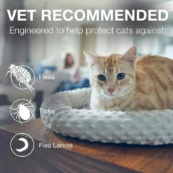 OUSUDELA Lot De 2 Colliers Anti-puces Et Anti-tiques Pour Chat Seresto, Collier Anti-puces Et Anti-tiques Pour Chat De 8 Mois 9 OUSUDELA Lot De 2 Colliers Anti-puces Et Anti-tiques Pour Chat Seresto, Collier Anti-puces Et Anti-tiques Pour Chat De 8 Mois -Anti-puces, anti-parasitaires et soins pour chien Soldes 64147605 5