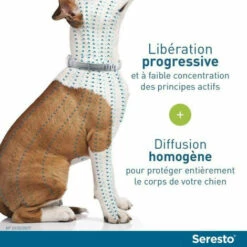LINKLIFE™ Seresto Chien Collier Anti-Puces Et Anti-Tiques -8kg 2 Unit��s 6 LINKLIFE™ Seresto Chien Collier Anti-Puces Et Anti-Tiques -8kg 2 Unit��s -Anti-puces, anti-parasitaires et soins pour chien Soldes 64195794 3