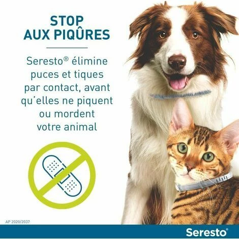 OUSUDELA Collier Anti-puces Et Anti-tiques Pour Chat Et Chien - Protection Efficace De 8 Mois - Collier Anti-puces Réglable à L'huile Naturelle,pour Chiens De Moins De 8 Kg, Collier Pour De Chiot, Lot De 2 3 OUSUDELA Collier Anti-puces Et Anti-tiques Pour Chat Et Chien - Protection Efficace De 8 Mois - Collier Anti-puces Réglable à L'huile Naturelle,pour Chiens De Moins De 8 Kg, Collier Pour De Chiot, Lot De 2 – Image 3