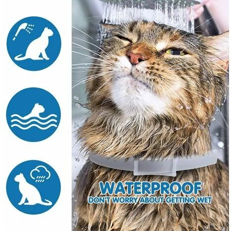 OUSUDELA Seresto Collier Anti-puces Et Anti-tiques Pour Chat Et Chien - Protection Efficace De 8 Mois - Collier Anti-puces Réglable à L'huile Naturelle Pour Chiens De 7 Semaines Et Plus, Colliers Pour Chatons, Lot De 2 4 OUSUDELA Seresto Collier Anti-puces Et Anti-tiques Pour Chat Et Chien - Protection Efficace De 8 Mois - Collier Anti-puces Réglable à L'huile Naturelle Pour Chiens De 7 Semaines Et Plus, Colliers Pour Chatons, Lot De 2 – Image 4