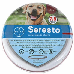 DONTODENT Collier Anti-puces Et Tiques Pour Chien, Collier Anti-Tiques Pour Chats - 8 Mois De Prévention Contre Les Puces, Collier Vermifuge Pour Animaux De Compagnie, Réglable Et Imperméable